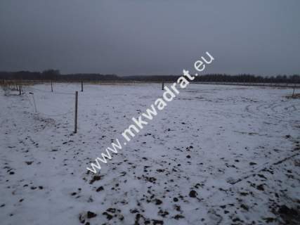 Działka siedliskowa na sprzedaż, 12000 m2, Powązki