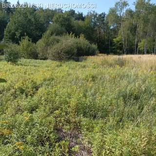 Lesznowola, 2040 m2, usługowa, mieszkaniowa