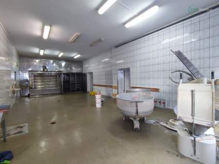 Brojce 2 domy, działka ponad 7000 m2. Hossoland 