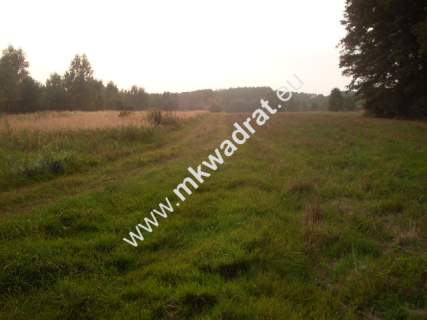Działka budowlana na sprzedaż, 20000 m2, Nowe Budy
