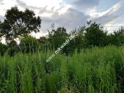 Działka z planem zagospodarowania mkwadrat.eu