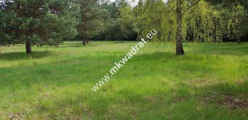 Działka 1352m2 w sąsiedztwie lasu Ojrzanów
