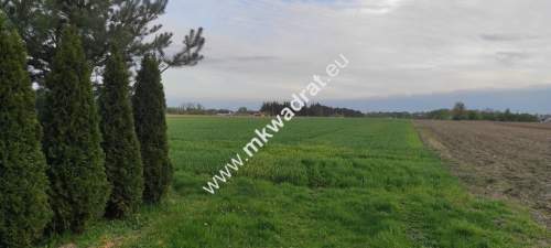 3416m2 Pasikonie k/Kampinosu z warunkami zabudowy 