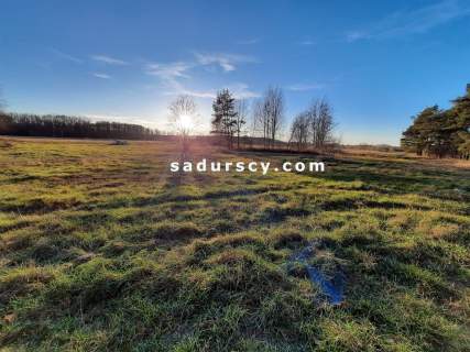 Działka budowlana na sprzedaż, 2500 m2, Baniocha