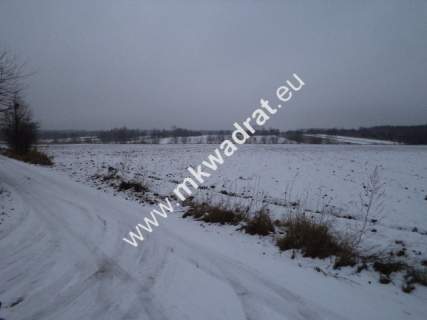 Działka siedliskowa na sprzedaż, 12000 m2, Powązki