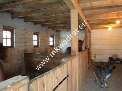 Działka siedliskowa na sprzedaż, 12000 m2, Powązki
