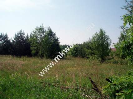 Działka budowlana na sprzedaż, 3899 m2, Radziejowice-Parcel