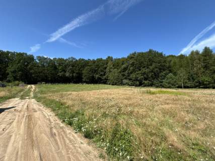 ŚRODEK LASU, DZIAŁKA 5 ARÓW,OSTOJA BARYCZY, NATURA