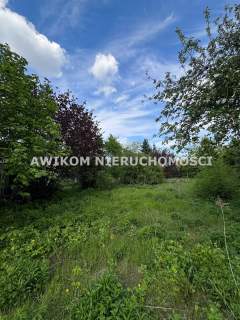 Grodzisk Mazowiecki, Centrum