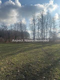 Działka budowlano-siedliskowa w Ochabach Wielkich