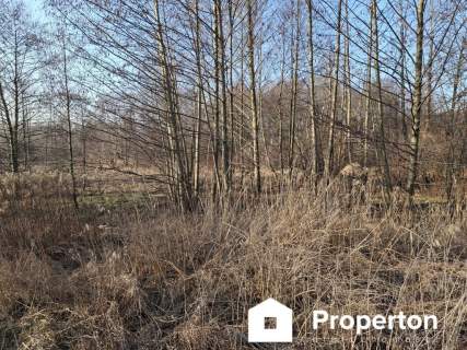 Działka inwestycyjna na sprzedaż, 8900 m2, Radziejowice-Parcel