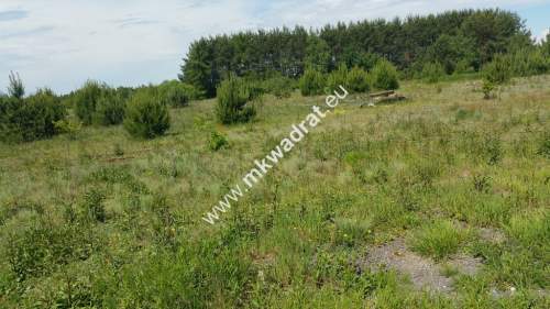 Działka rolna na sprzedaż, 54100 m2, Zboiska
