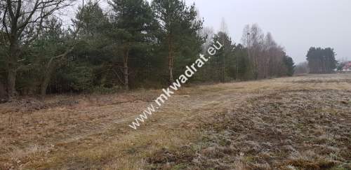 Działka 975 m2 Owczarnia