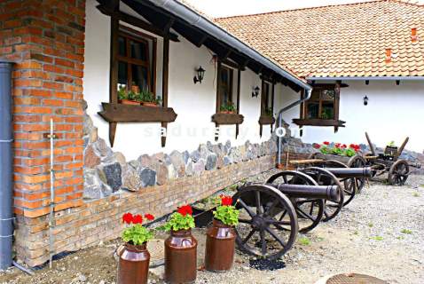 Nieruchomość komercyjna na sprzedaż, 720 m2, Woźnice
