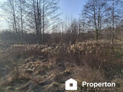 Działka inwestycyjna na sprzedaż, 8900 m2, Radziejowice-Parcel