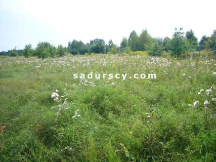 Działka budowlana na sprzedaż, 7000 m2, Władysławów