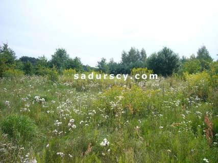 Działka budowlana na sprzedaż, 1000 m2, Władysławów