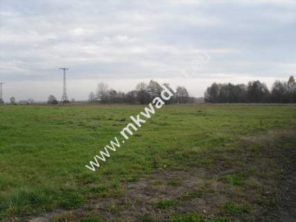 Działka rolna na sprzedaż, 130000 m2, Baranów