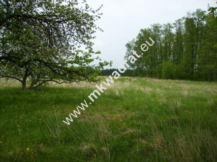 Działka budowlana na sprzedaż, 12600 m2, Budy Mszczonowskie