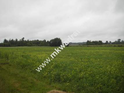 Działka rolna na sprzedaż, 34800 m2, Zimnice