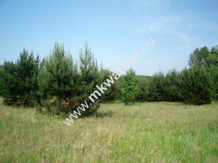 Działka budowlana na sprzedaż, 3899 m2, Radziejowice-Parcel
