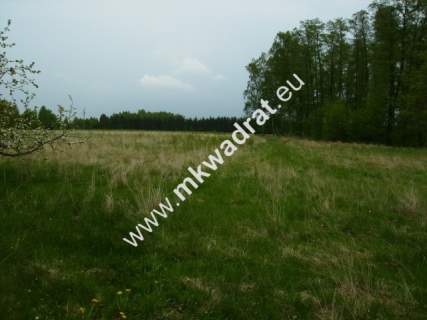 Działka budowlana na sprzedaż, 12600 m2, Budy Mszczonowskie
