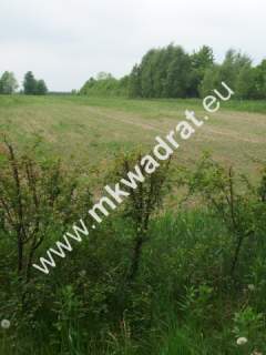 Działka budowlana na sprzedaż, 18000 m2, Lisowola