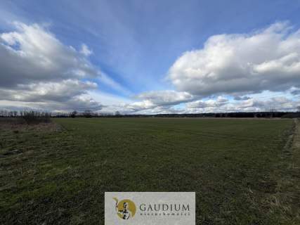 Działka 4600 m2 Sobieszewo ul. Uzdrowiskowa