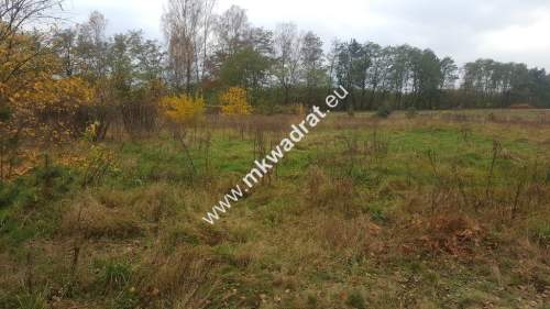 Inwestycyjno-budowlana przy 719 Brwinów WZ