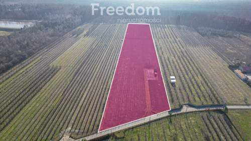 Działka rolna 2,25 ha - Marianka koło Tarczyna
