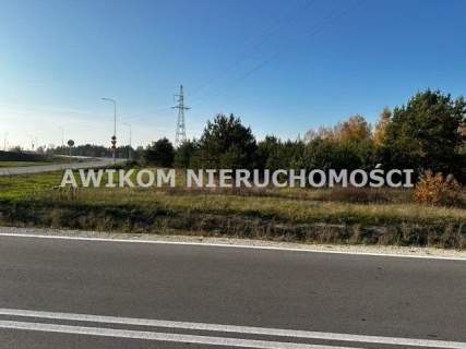 Działka rolna na sprzedaż, 11300 m2, Kotorydz