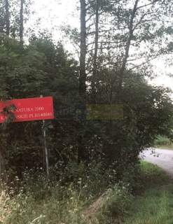 Dobra działka w dobrej cenie...
