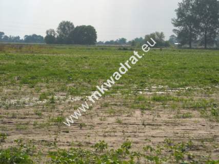 Działka budowlana na sprzedaż, 10000 m2, Nowy Drzewicz