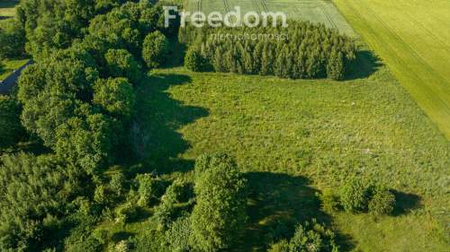 Działka z wydanymi warunkami zabudowy na dom