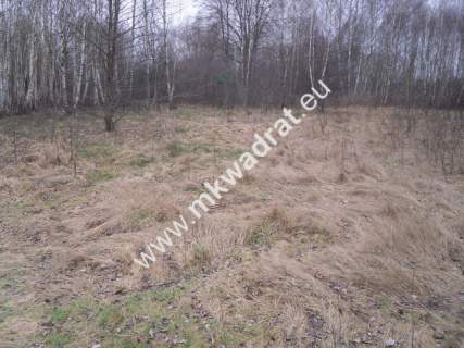 Działka budowlana na sprzedaż, 9600 m2, Stare Budy