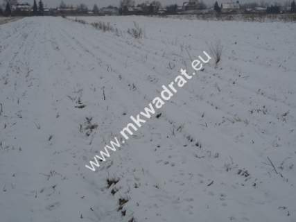 Działka inwestycyjna na sprzedaż, 3000 m2, Płochocin