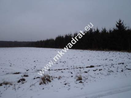 Działka siedliskowa na sprzedaż, 12000 m2, Powązki