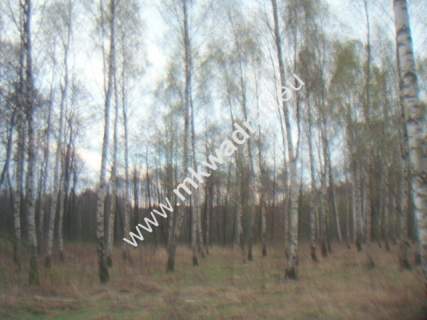 Działka budowlana na sprzedaż, 10030 m2, Słubica B