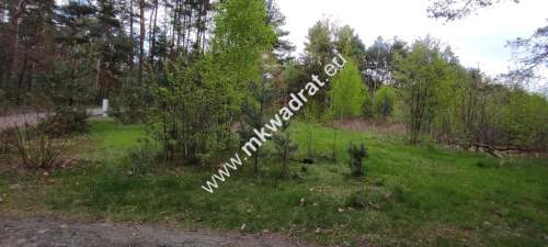 Piękna działka przy lesie, Czarny las 2769m2