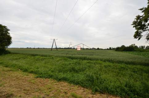 Sprzedam 80 a przy drodze krajowej nr 94/RADYMNO