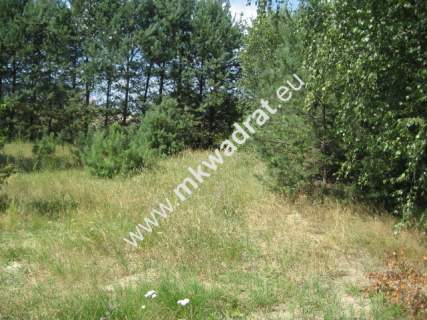 Działka inwestycyjna na sprzedaż, 5100 m2, Siestrzeń