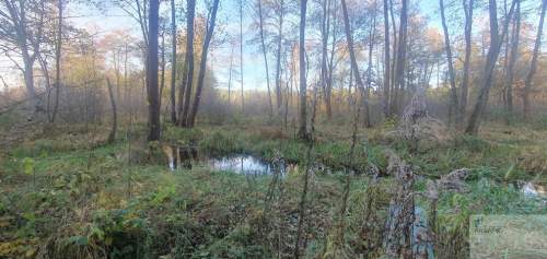 Malownicza działka budowlana. MPZP. Jura.