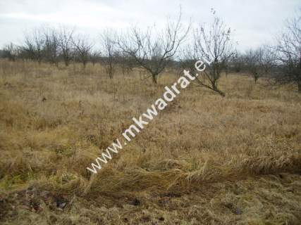 Działka inwestycyjna na sprzedaż, 5000 m2, Puszcza Mariańska
