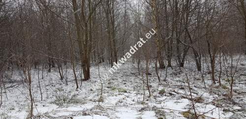 Działka z planem zagospodarowania