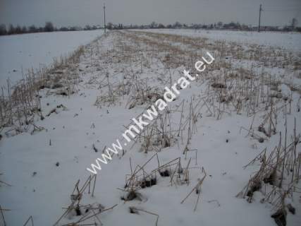 Działka inwestycyjna na sprzedaż, 6200 m2, Płochocin