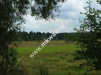 Działka rolna na sprzedaż, 67000 m2, Stare Polesie