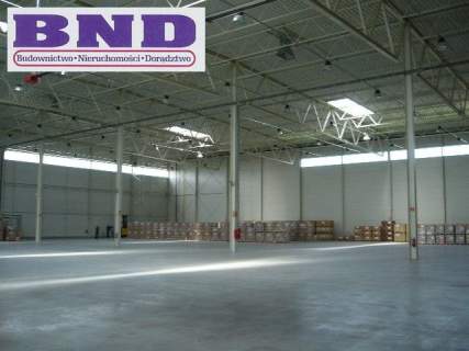 Magazyn do wynajęcia, 5200 m2, Gliwice