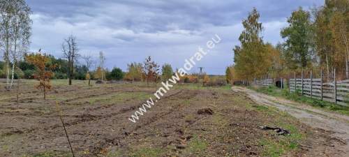 Zboiska gm. Radziejowice MPZP 1300m2 S8