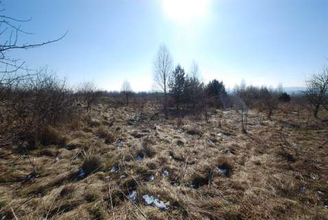 Działka 1000 m2 Mąchocice Kapitulne gm. Masłów