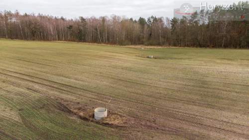 Gospodarstwo rolne 50ha plantacja borówki 7ha 